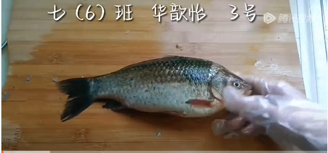 202304251640204519.png