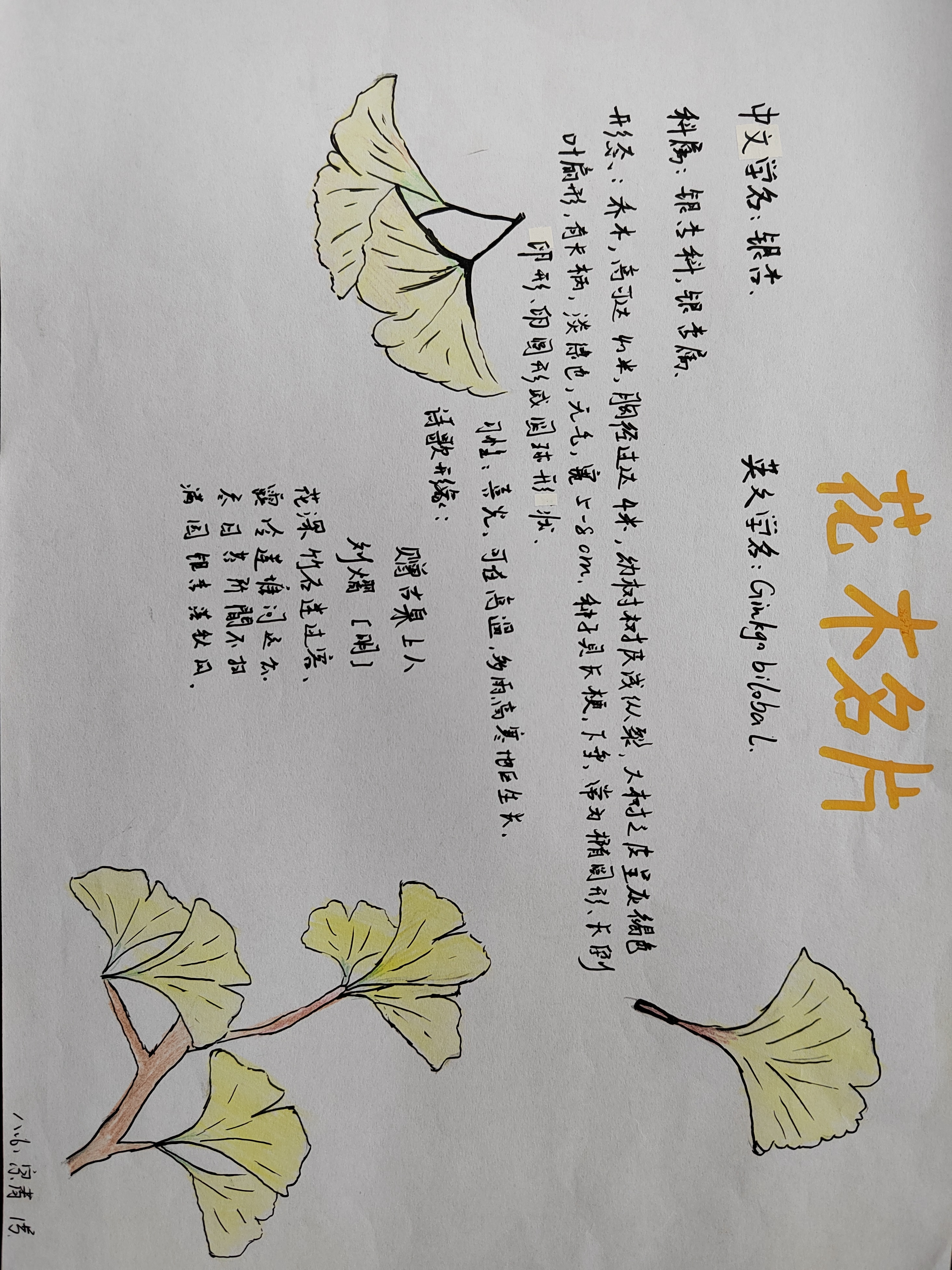 202305061419350458.jpg
